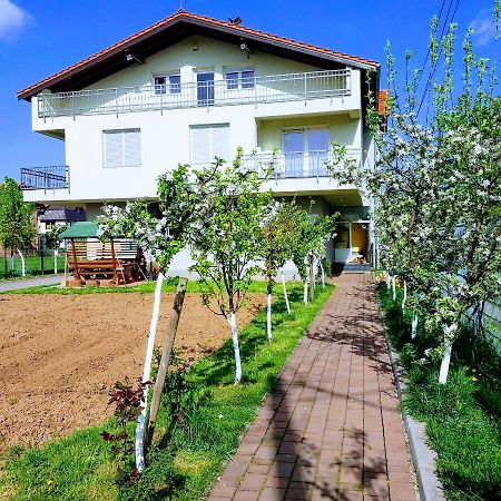 Apartman Peace Apartamento Saraievo Exterior foto
